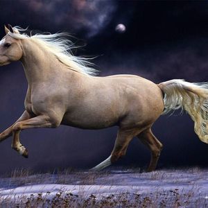 Meet your Posher, Caitlin